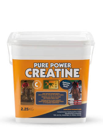 Pure Power Creatine - High energy muscle food