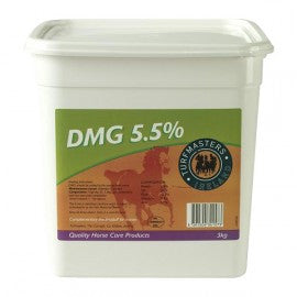 DMG Powder - delays lactic acid build up